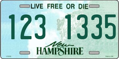 NH license plate 1231335