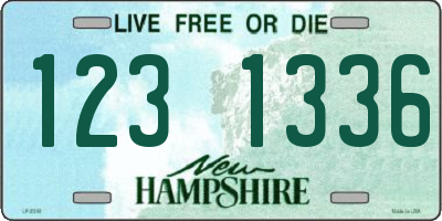 NH license plate 1231336