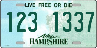 NH license plate 1231337