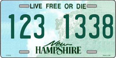NH license plate 1231338