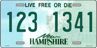 NH license plate 1231341