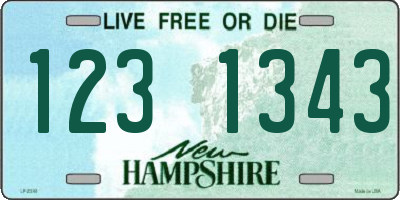 NH license plate 1231343