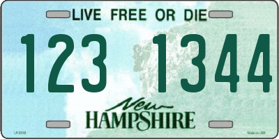 NH license plate 1231344