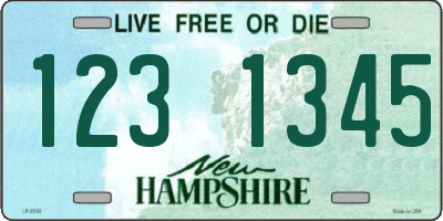 NH license plate 1231345