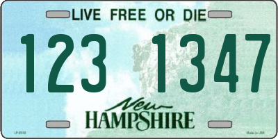 NH license plate 1231347