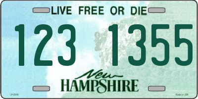 NH license plate 1231355