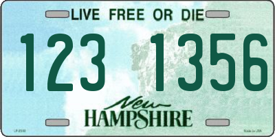 NH license plate 1231356