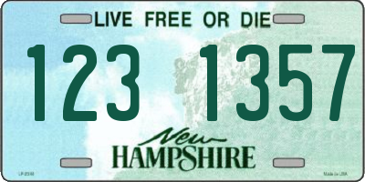 NH license plate 1231357
