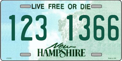 NH license plate 1231366