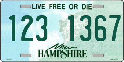 NH license plate 1231367