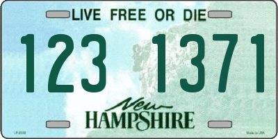 NH license plate 1231371