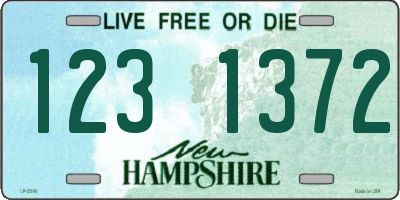 NH license plate 1231372