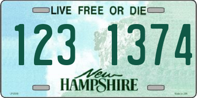NH license plate 1231374