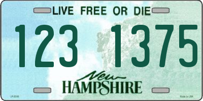 NH license plate 1231375