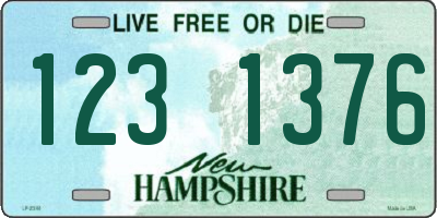 NH license plate 1231376