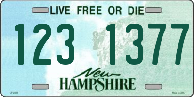NH license plate 1231377