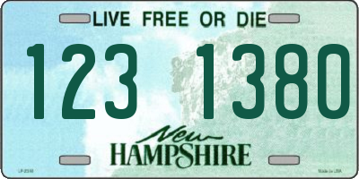 NH license plate 1231380