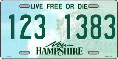 NH license plate 1231383