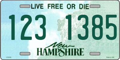 NH license plate 1231385