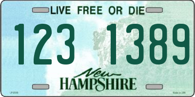 NH license plate 1231389