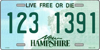 NH license plate 1231391