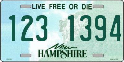 NH license plate 1231394