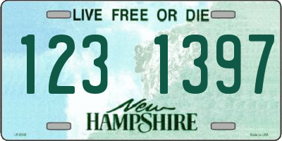NH license plate 1231397