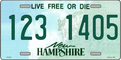 NH license plate 1231405