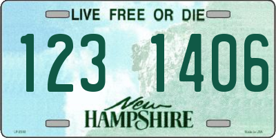 NH license plate 1231406