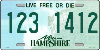 NH license plate 1231412