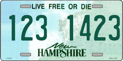 NH license plate 1231423
