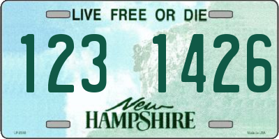 NH license plate 1231426