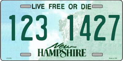 NH license plate 1231427