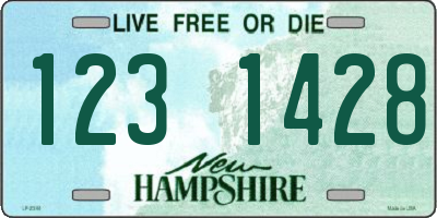 NH license plate 1231428