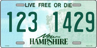 NH license plate 1231429