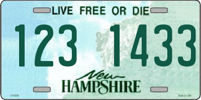 NH license plate 1231433