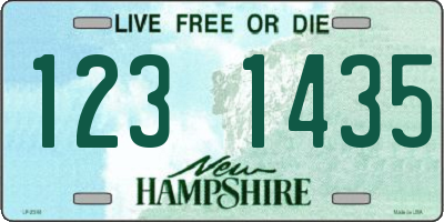 NH license plate 1231435