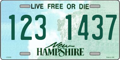 NH license plate 1231437