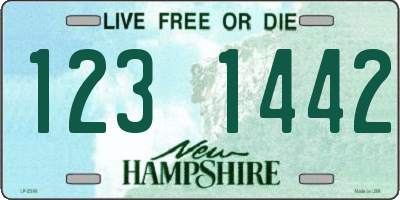 NH license plate 1231442