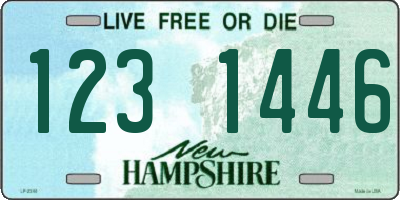 NH license plate 1231446
