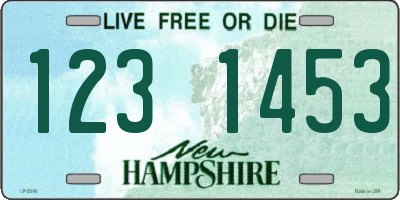NH license plate 1231453