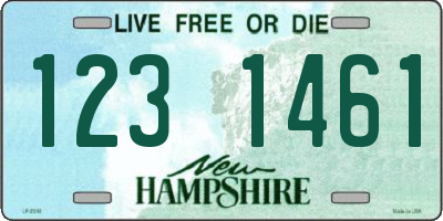 NH license plate 1231461
