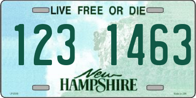 NH license plate 1231463