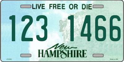 NH license plate 1231466