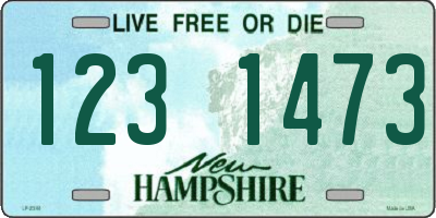 NH license plate 1231473