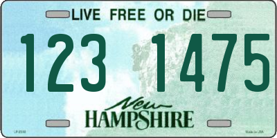 NH license plate 1231475