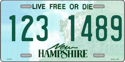 NH license plate 1231489