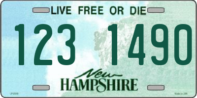 NH license plate 1231490