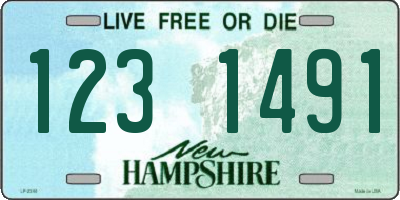 NH license plate 1231491