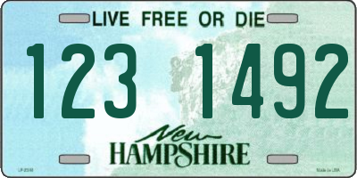 NH license plate 1231492